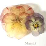 《Mami.t》ビオラ♡バレッタ