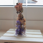 バラとスターチスのテラリウム