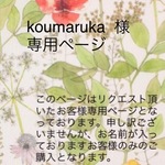 お客様専用ページ   リバティ ラウンド長財布  ラミネート    Peacocks of Grantham Hall  turquoise&pink