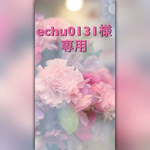 押し花＊echu0131様専用