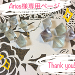 ◇Aries様 専用ページ◇