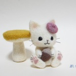 きのこと白猫ちゃん