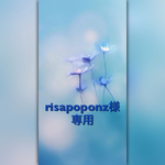 押し花＊risapoponz様専用