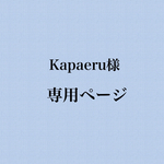 Kapaeru様専用ページ