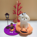 羊毛フェルトふわふわ白柴犬ちゃんの可愛いハロウィン
