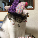 猫ちゃんピエロ（猫用）