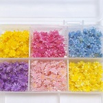 スターフラワーブロッサム　花材　花　7色　小分け　60個　※在庫あり3色