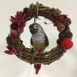 ウロコインコのリース♪羊毛フェルト
