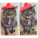 チェック柄のネクタイ猫ちゃんの首輪