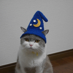 [星] 魔法使いの帽子