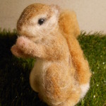 ふわふわしっぽのリスちゃん。