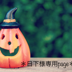＊日下様専用ページ＊
