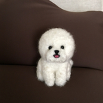 お座り ビションフリーゼちゃん