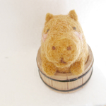 いい湯だなぁーなカピバラさん