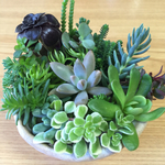 みっきーママ様オーダー品☆多肉寄せ植え☆