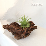 【Rion様専用1】お取り置き