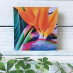 【9/10まで¥1500→¥1000】 Bird of paradise 〜沖縄の風景をあなたのお部屋に〜【写真パネル】