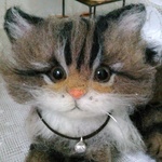 きじとら猫ちゃん🐱