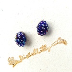 No.5385 送料込♥ブラックベリーのピアス