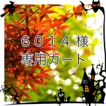 6014 様  専用カート 秋物ワンピースセット