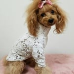 起毛レースのロングTシャツ