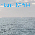 f-bunno-1様専用  穴あき118