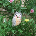 コノハズクのピンブローチ