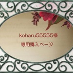 koharu55555様専用購入ぺージ
