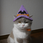 [yukoma810様専用] 🎃ジャック・オー・ランタン&魔法使いの帽子
