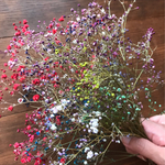蕾付き枝♡mix