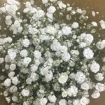 Lux 様専用