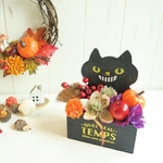 黒猫ハロウィン