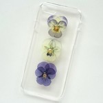 押し花のiPhoneケース - viola - as a child  ③