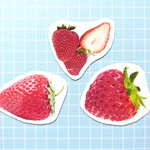 イチゴのマグネットシール