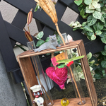 愛をください❣️