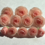  樹脂粘土のお花達♡13