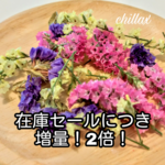 在庫セールたっぷり2倍！スターチスのドライフラワー⭐️ミックスカラー⭐️ヘッドのみ