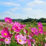 佐藤さま　専用ページ