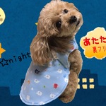 暖かぱっちん♪うちの子パジャマ（ブルー）