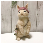 ネザーランドドワーフのキノコちゃん🍄
