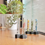 Flowertube➕Stormglass  A