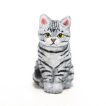 コルクのサバトラ猫