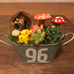 ミニチュア＊きのことくるみ×多肉植物の寄せ植え     