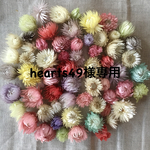 hearts49様専用ページ✳︎ハーバリウム