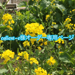 calient-e様オーダー専用ページ2