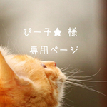ぴー子★ 様専用ページ♡