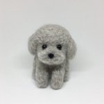 ちびころ お座りプードルちゃん 羊毛フェルト