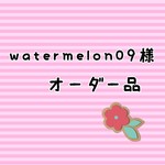 ❇watermelon09様専用ページ❇オーダー品