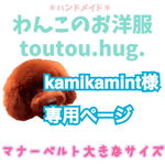 ＊kamikamint様専用ページ＊