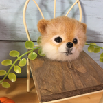 子熊カット ポメラニアン ブローチ
